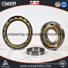 China Factory Produced Deep Groove Ball Bearings (6048/6048-2RS/6048M)